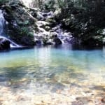 Du lịch bạch mã