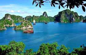 Tour giá sốc 