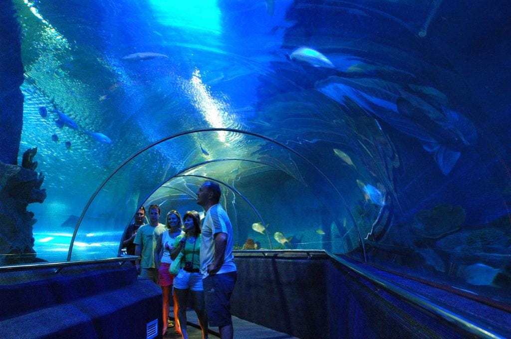 du-lich-nha-trang-du-lich-4-dao-thuy-cung-tri-nguyen-1