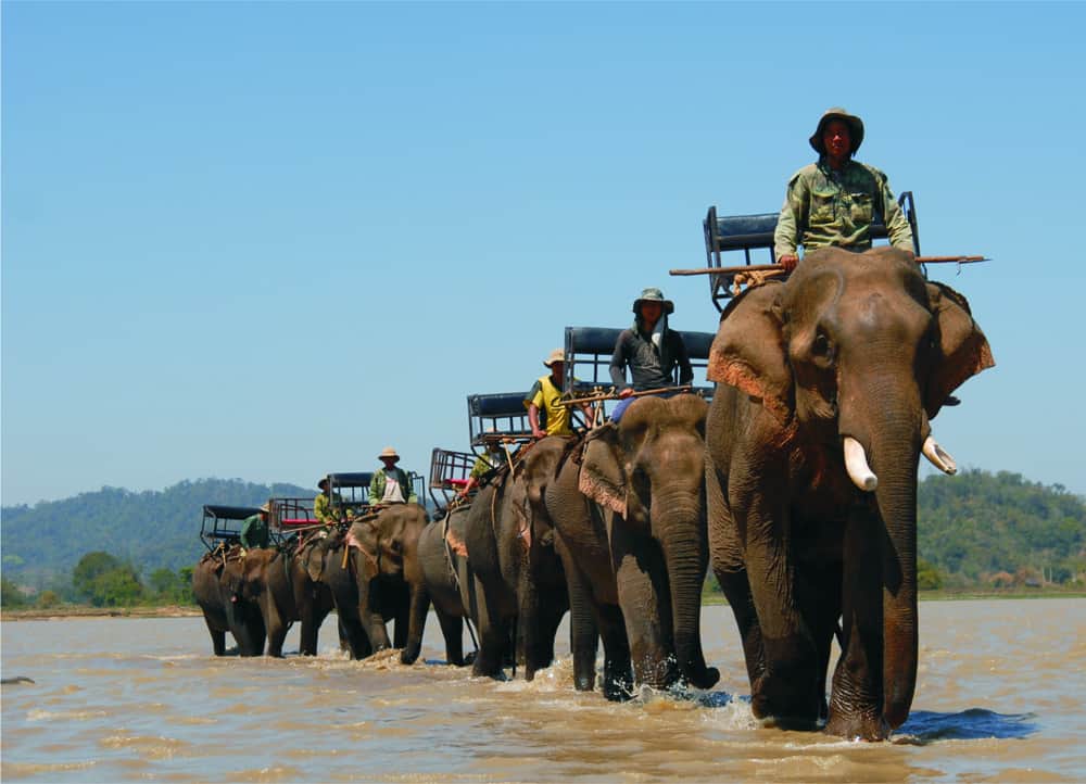 Tour giá sốc 