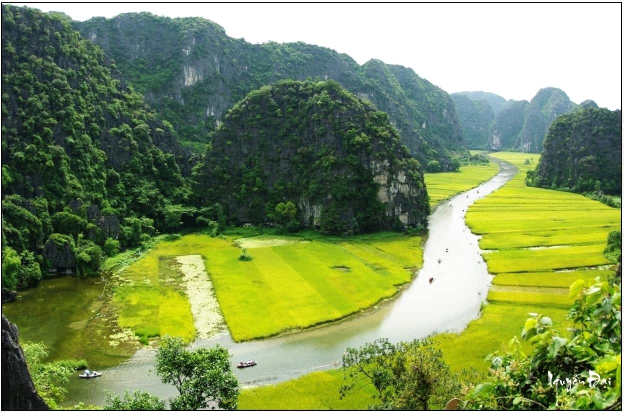Tour giá sốc 