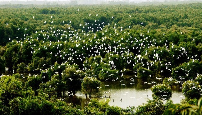 Tour giá sốc 