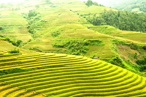 Tour giá sốc 