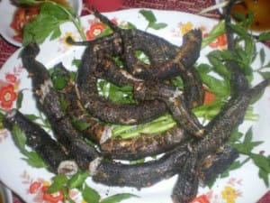 ran-nuong-moi
