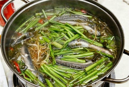 Tour giá sốc 