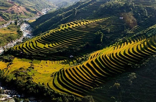 Tour giá sốc 