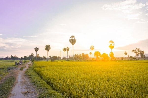 An Giang