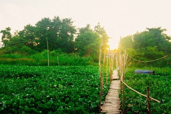An Giang