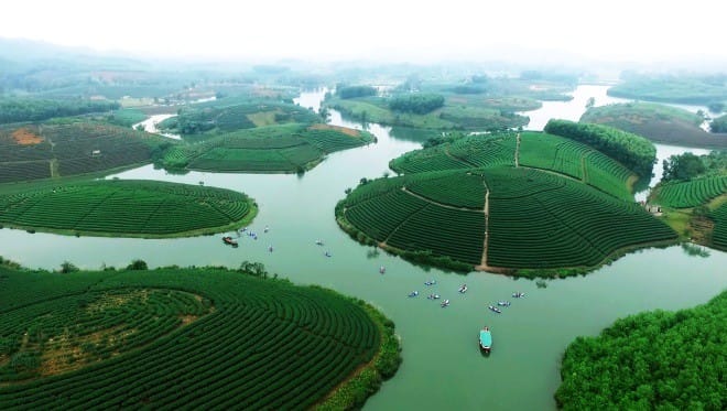 Tour giá sốc 