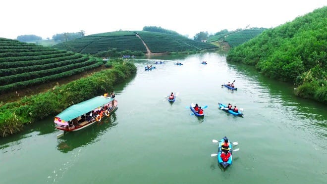 Đảo chè