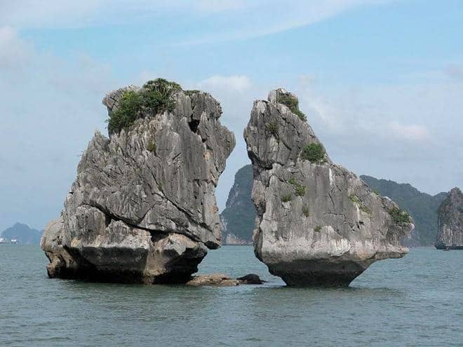 Tour giá sốc 