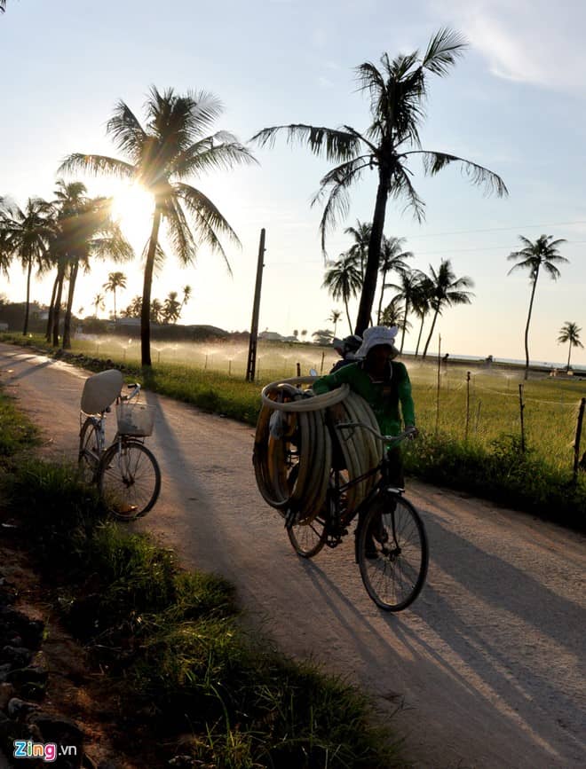 Lý Sơn