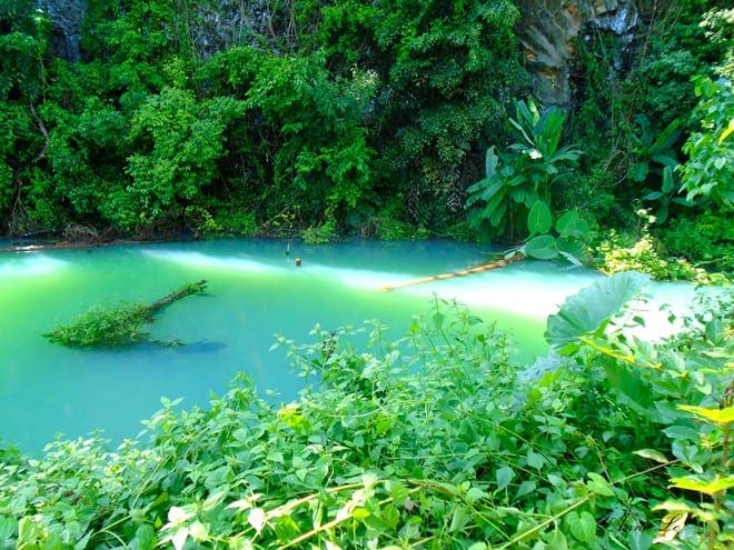 Tour giá sốc 
