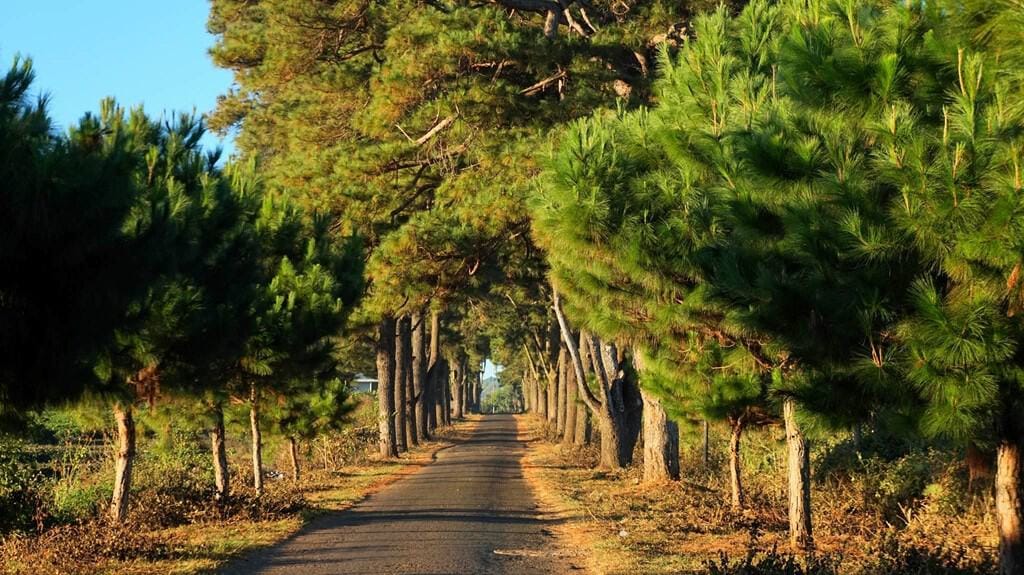 Pleiku - Du lịch Tây Nguyên
