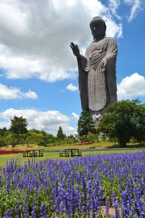 Du lịch Nhật Bản