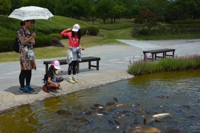 Du lịch Nhật Bản