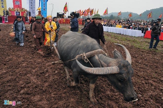 Tịch điền Đọi Sơn