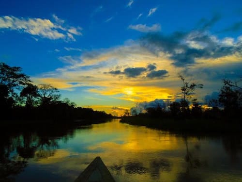 Brazil Amazon