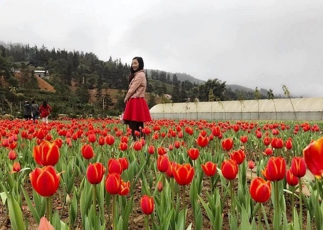 Bắc Hà - Du lịch Lào Cai