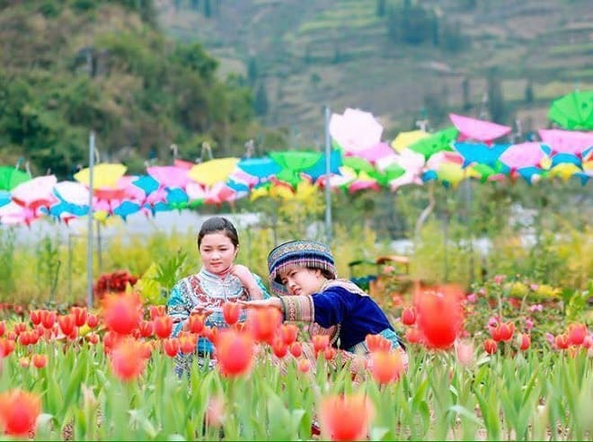 Bắc Hà - Du lịch Lào Cai