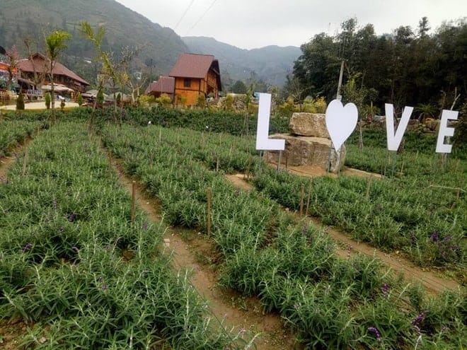 Bắc Hà - Du lịch Lào Cai