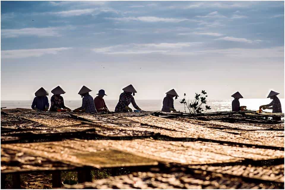 Tour giá sốc 