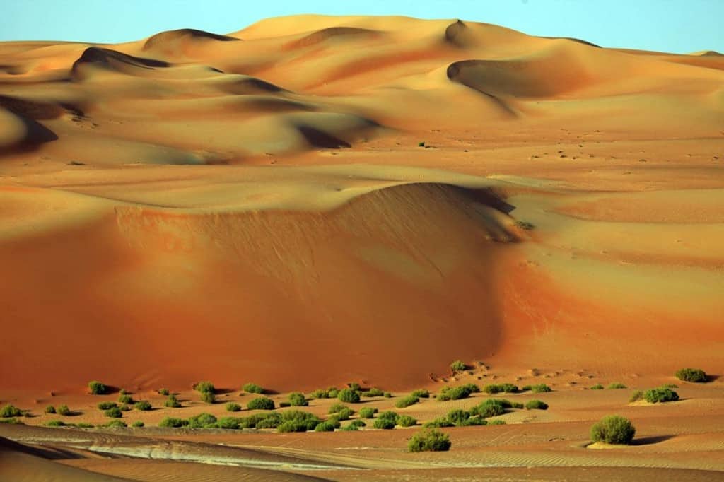 Sa mạc Empty Quarter Ả Rập