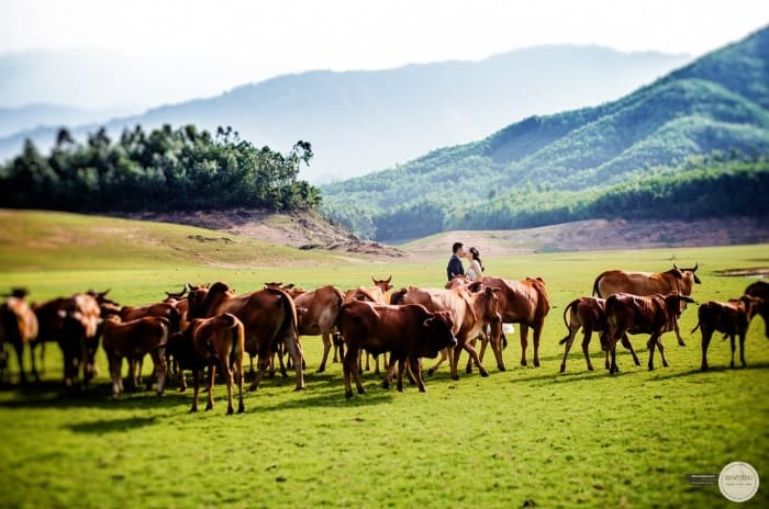 Hồ Hòa Trung du lịch Đà Nẵng