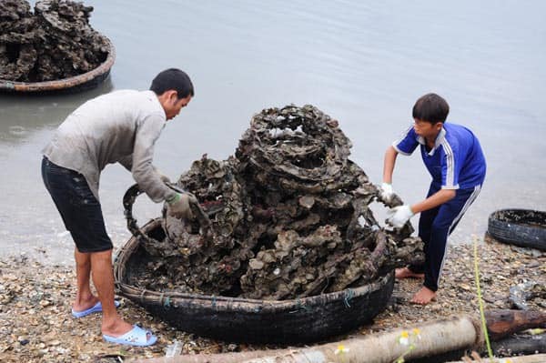 Khám phá Huế bằng xe máy 