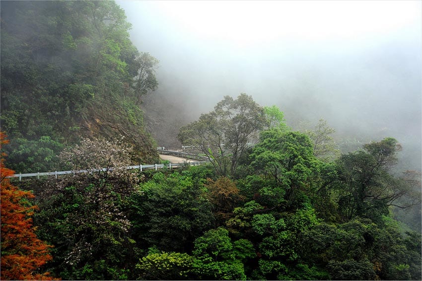 Phượt Bạch Mã