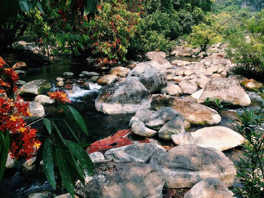 Suối Nước Moọc Du lịch Quảng Bình