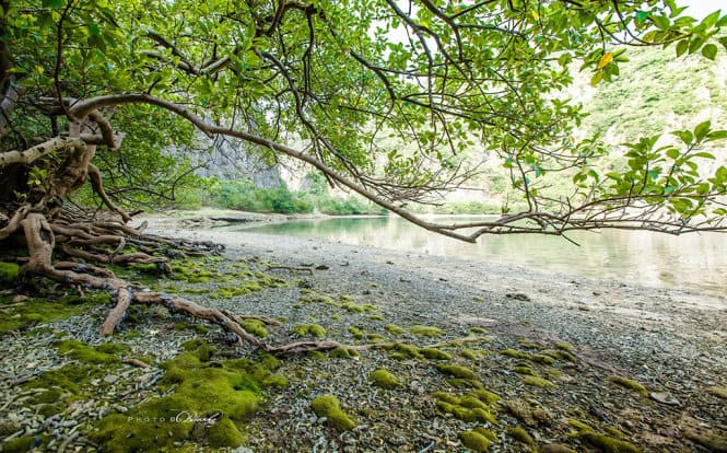 đảo Mắt Rồng Hạ Long