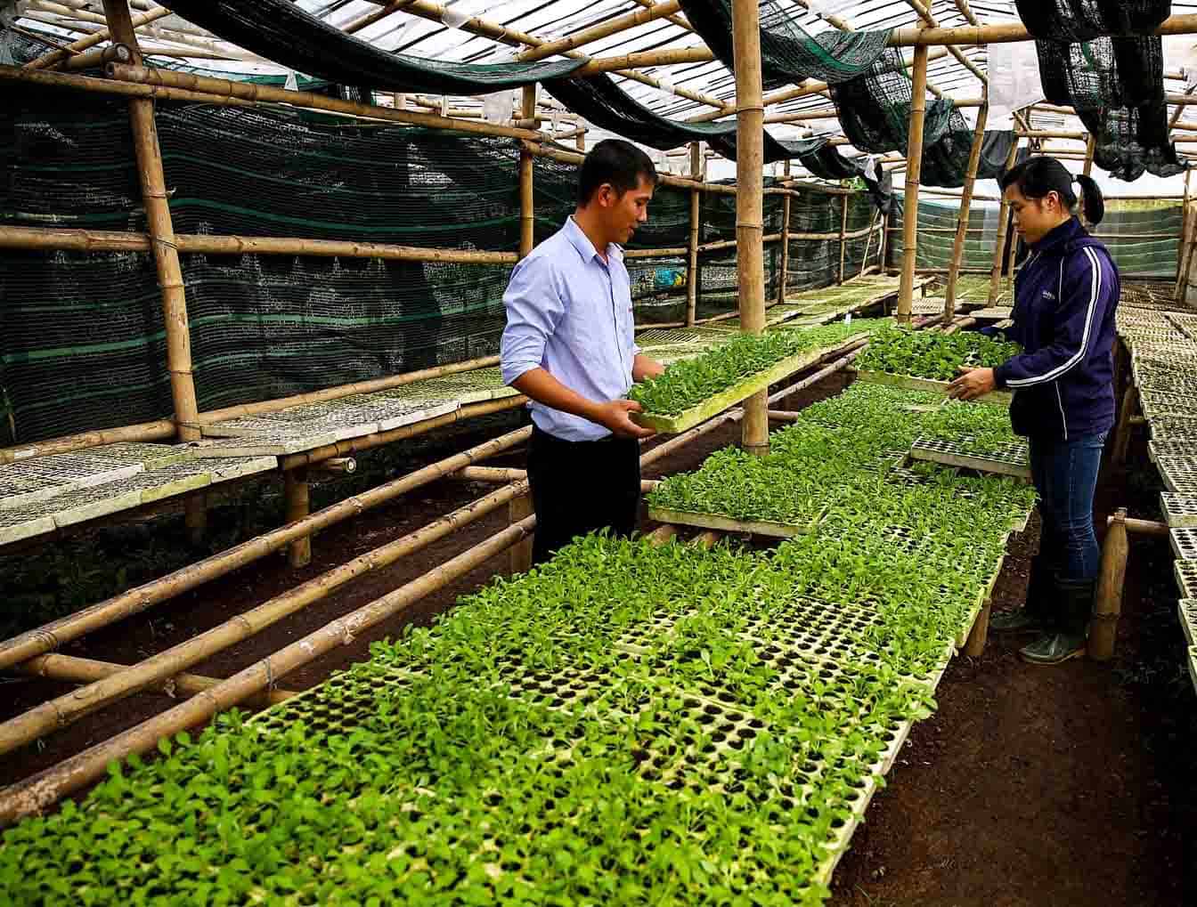 Kỹ sư Ngọc Ngọc Du lịch Bà Nà Hills