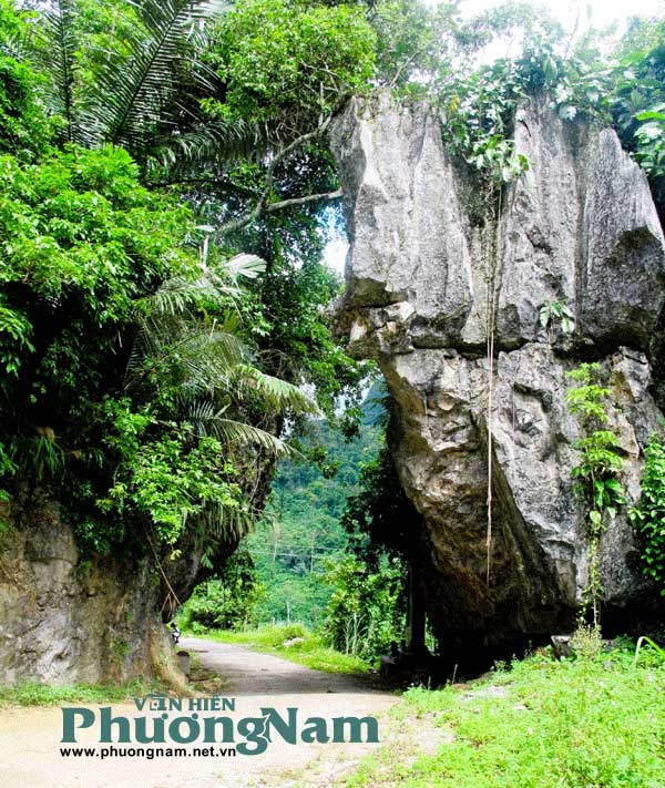 Tour giá sốc 