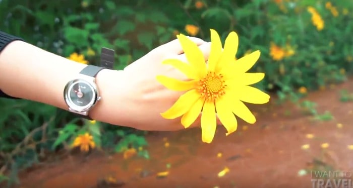 Đà Lạt Du lịch Việt Nam