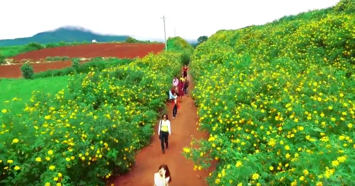 Du lịch Việt Nam