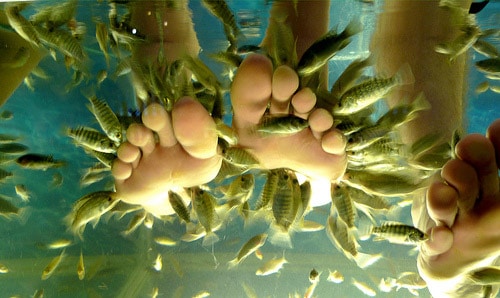 Massage Hòa Phú Thành du lịch Đà Nẵng