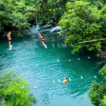 Tour Suối nước Moọc Phong Nha 1 ngày tour du lich phong nha