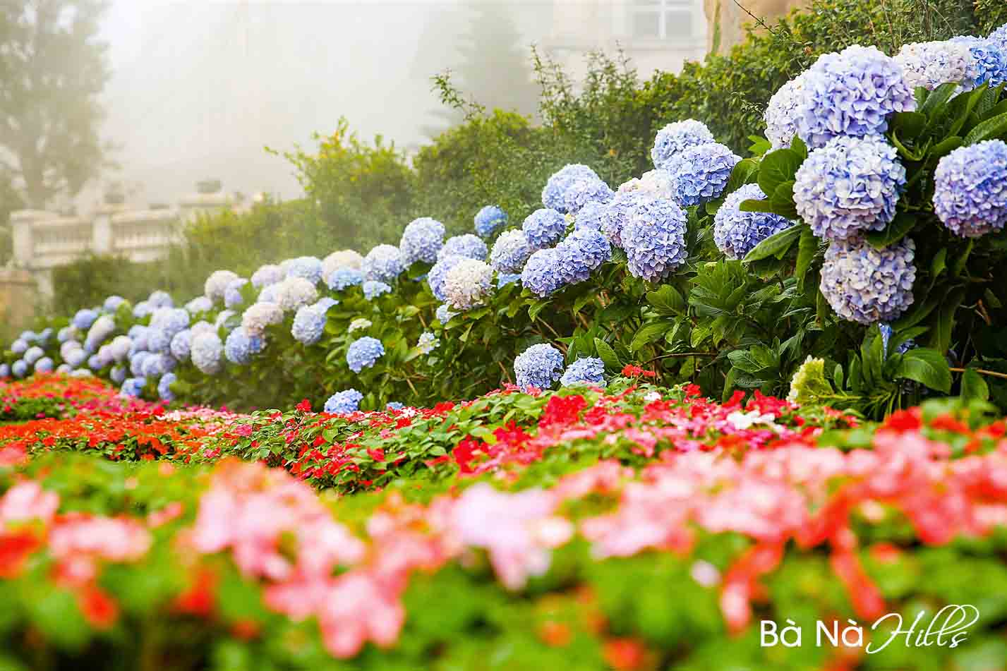 Vườn hoa tình yêu Du lịch Bà Nà