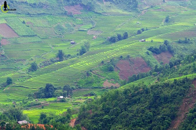 Yên Bái Bản Mù