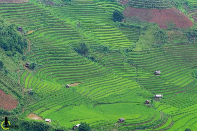 Yên Bái Bản Mù