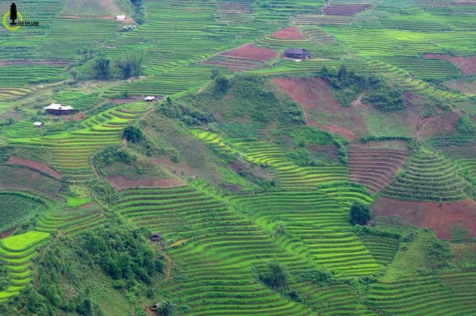 Yên Bái Bản Mù