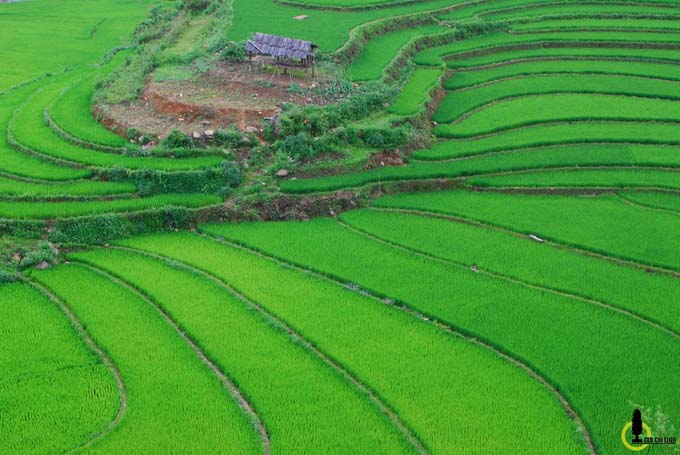 Yên Bái Bản Mù
