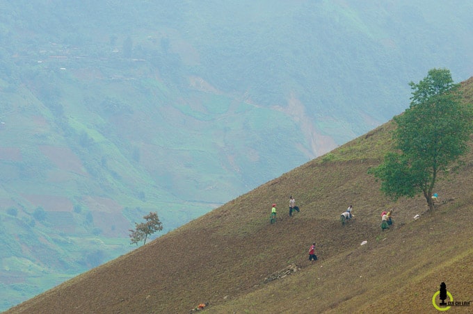 Yên Bái Bản Mù