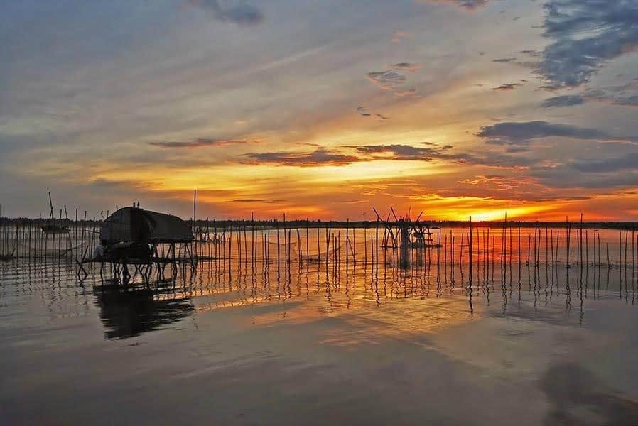 Đầm Chuồn Đầm Cầu Hai Huế