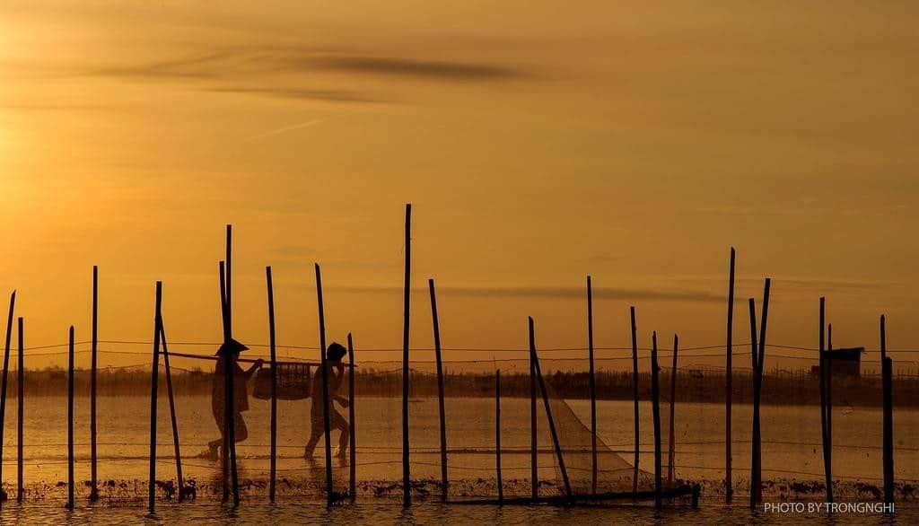 Đầm Chuồn Đầm Cầu Hai Huế