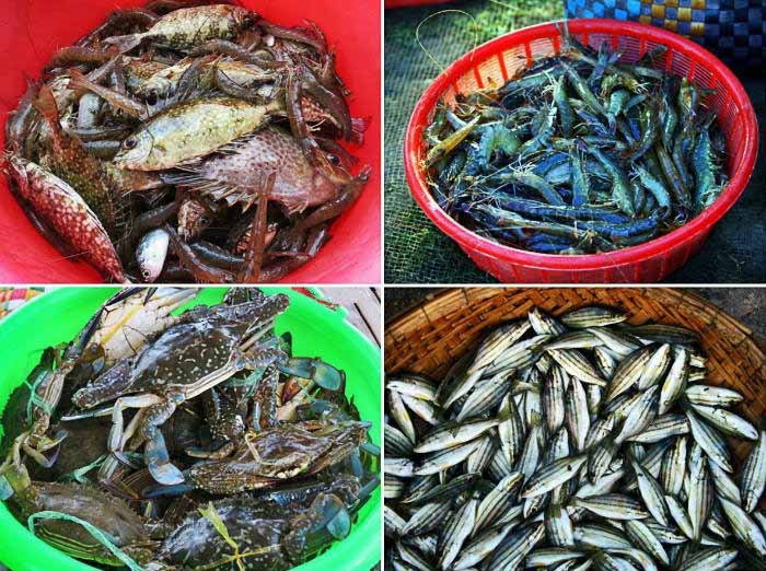 Đầm Chuồn Đầm Cầu Hai Huế