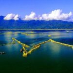 Đầm Chuồn Đầm Cầu Hai Huế