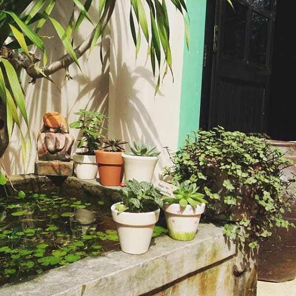 deja vu homestay ở Huế