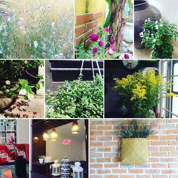 deja vu homestay ở Huế